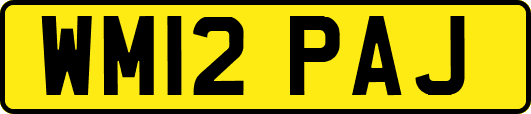 WM12PAJ