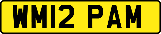 WM12PAM