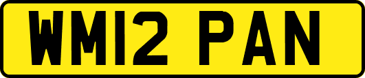 WM12PAN