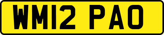 WM12PAO