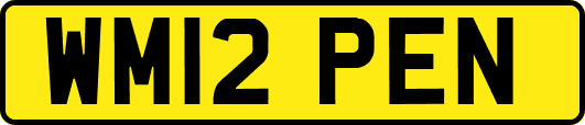 WM12PEN