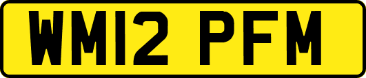 WM12PFM