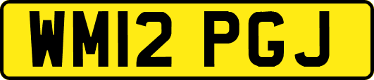 WM12PGJ