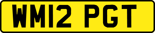 WM12PGT