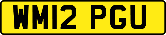 WM12PGU