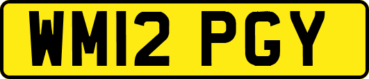 WM12PGY