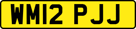 WM12PJJ