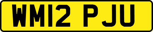 WM12PJU