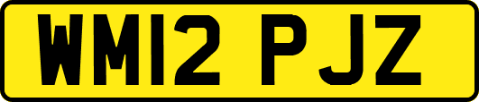 WM12PJZ