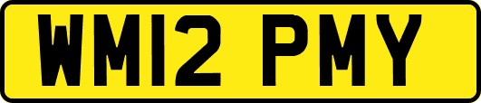 WM12PMY