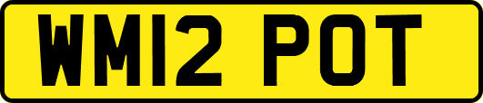 WM12POT