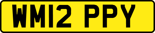 WM12PPY