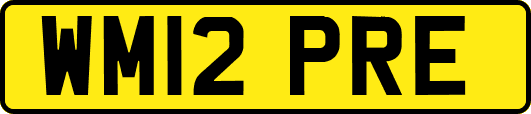 WM12PRE