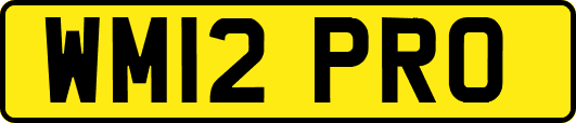 WM12PRO