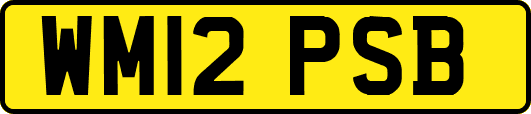 WM12PSB