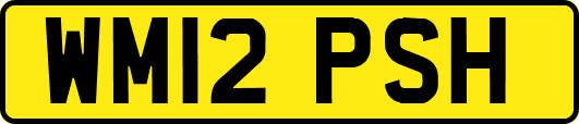 WM12PSH