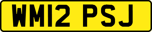 WM12PSJ