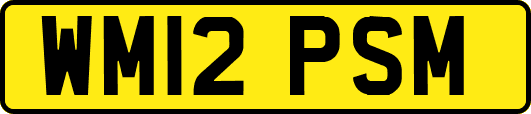 WM12PSM