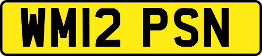 WM12PSN