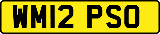 WM12PSO