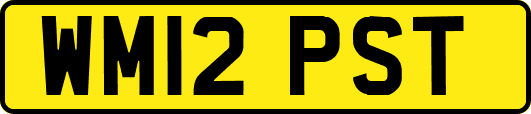 WM12PST