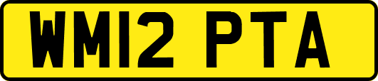 WM12PTA