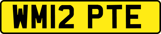 WM12PTE