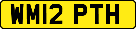 WM12PTH
