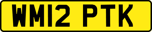 WM12PTK