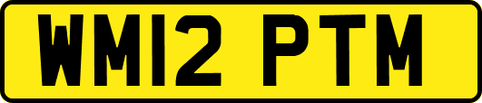 WM12PTM