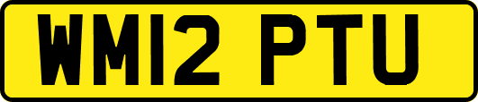 WM12PTU