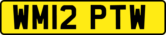 WM12PTW
