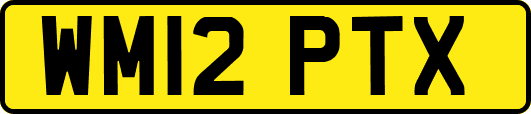 WM12PTX