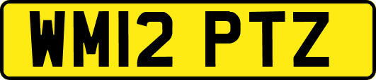 WM12PTZ