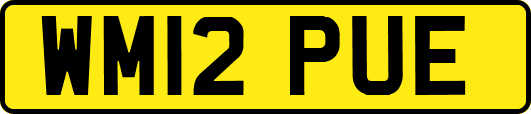 WM12PUE