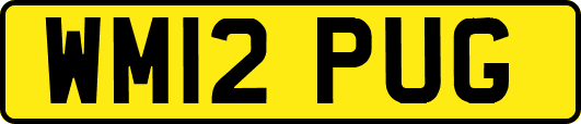 WM12PUG