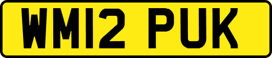 WM12PUK