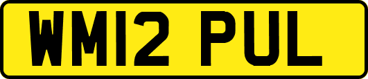 WM12PUL