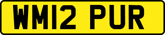 WM12PUR