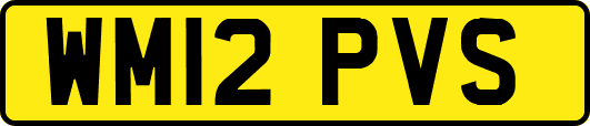 WM12PVS