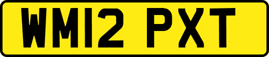 WM12PXT