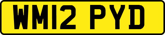 WM12PYD