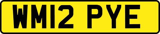 WM12PYE