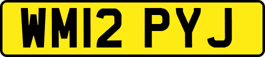 WM12PYJ