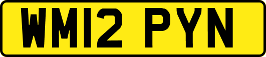 WM12PYN