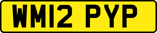 WM12PYP