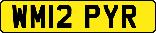 WM12PYR