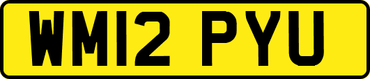 WM12PYU