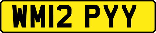 WM12PYY