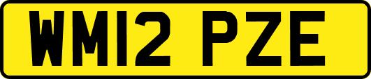 WM12PZE